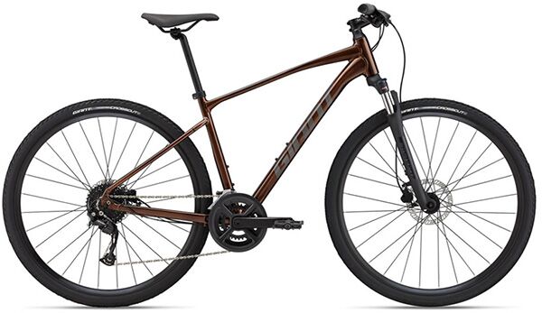 Xe đạp địa hình thể thao Giant Roam 2 Disc 2022